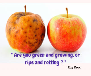 Is Your Business Green & Growing Or Ripe And Rotting?